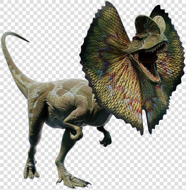 Jp Dilo  HD Png DownloadTransparent PNG
