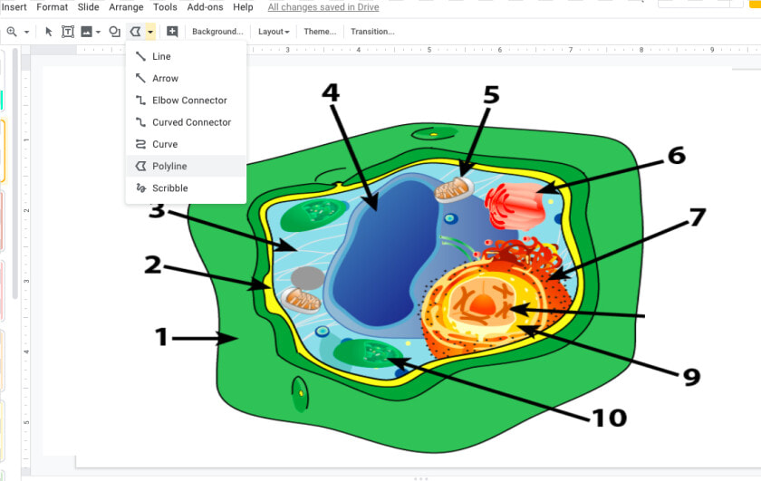 Plant Cell Unlabeled  HD Png DownloadTransparent PNG