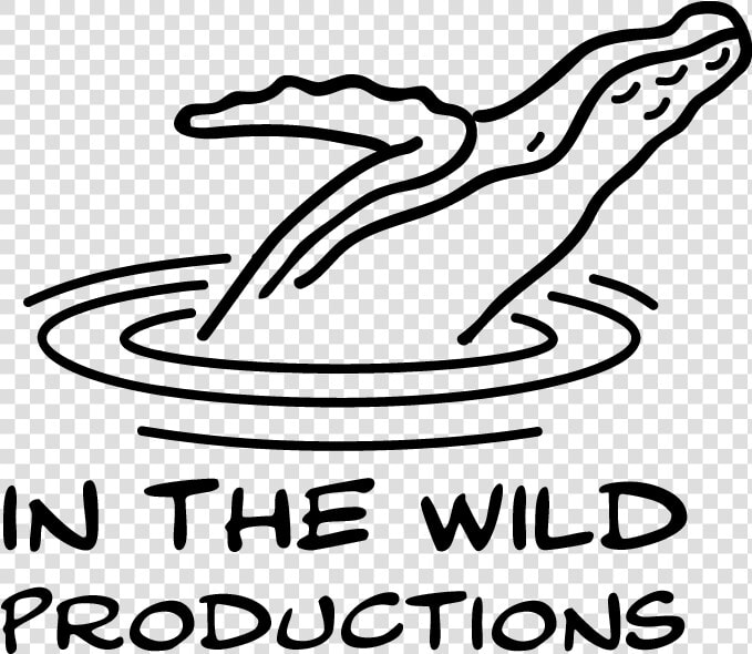 In The Wild Productions Whale Footage Whale Watch Videos   Line Art  HD Png DownloadTransparent PNG