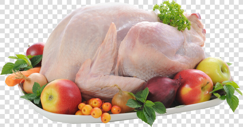 Chicken Png Free Commercial Use Images   Chicken Png  Transparent PngTransparent PNG