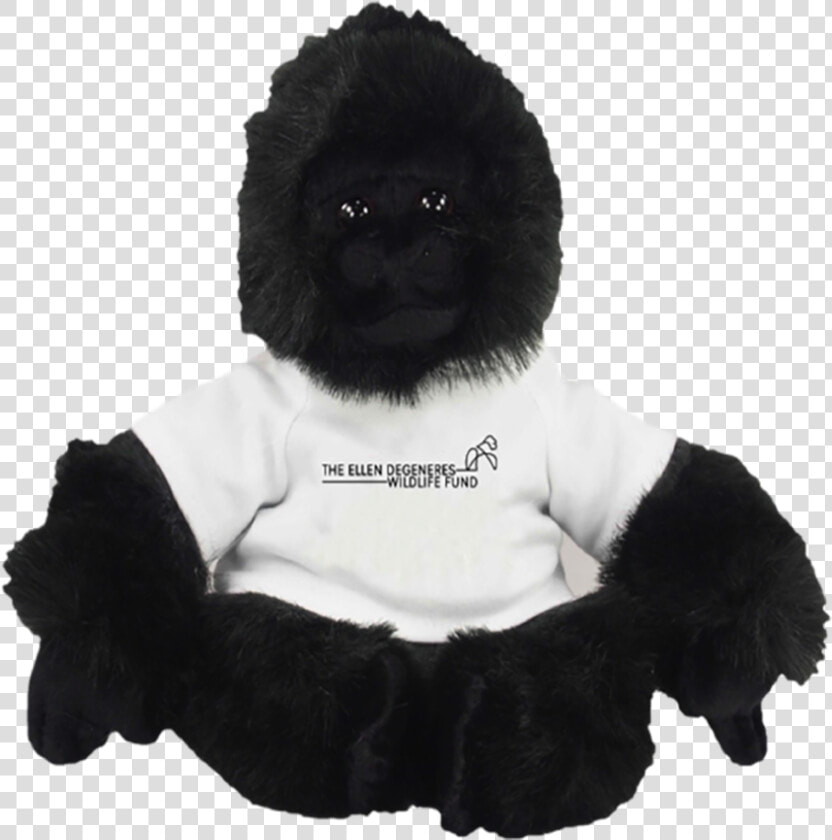 Ellen  39 s Gorilla Fund Bear  HD Png DownloadTransparent PNG