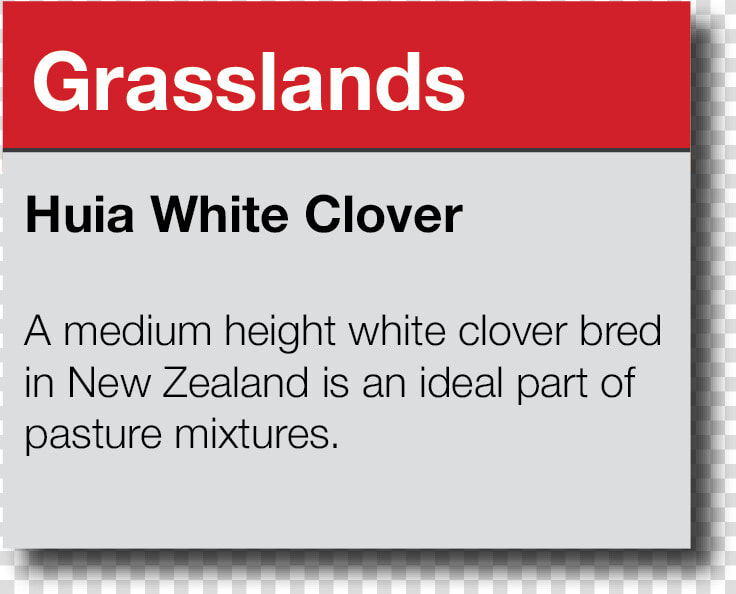 Grasslands   Employmentcrossing  HD Png DownloadTransparent PNG