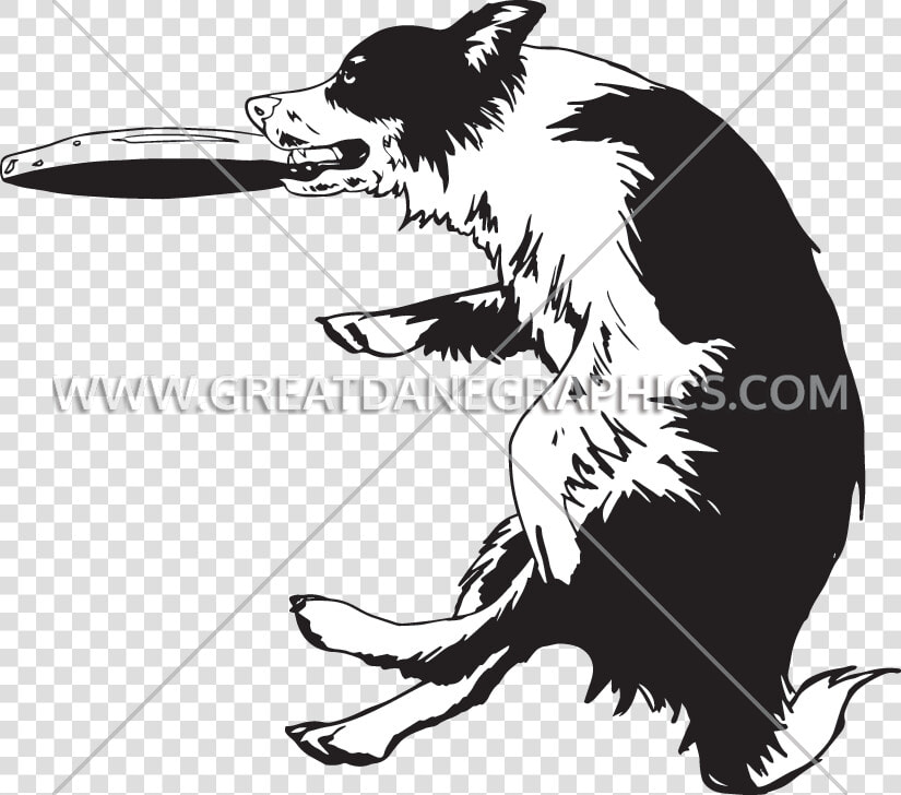 Transparent Dogs Playing Clipart   Border Collie Frisbee Clipart  HD Png DownloadTransparent PNG