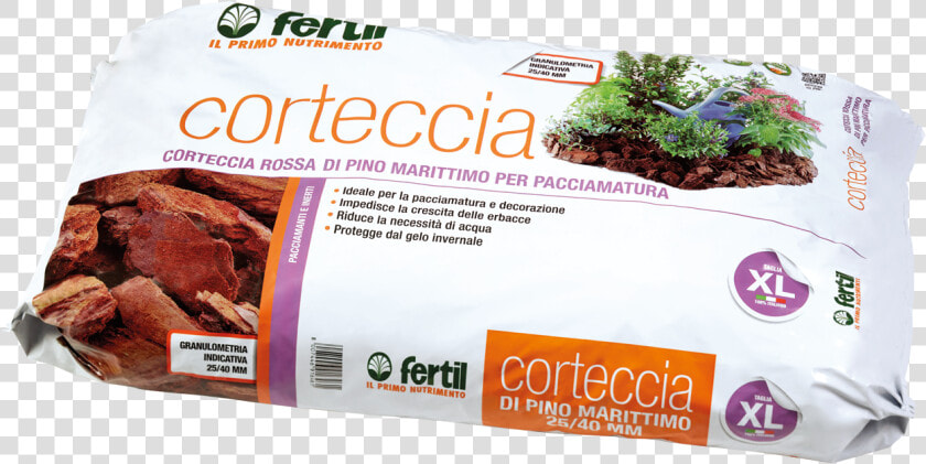 Corteccia Fertil  HD Png DownloadTransparent PNG