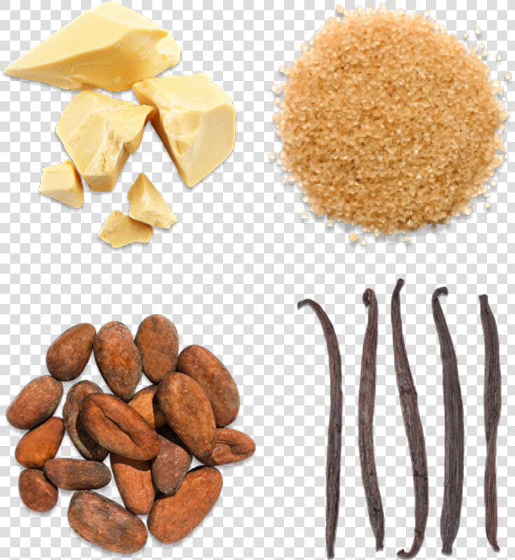 Transparent Cacao Png   Cacao Sugar Cacao Butter  Png DownloadTransparent PNG