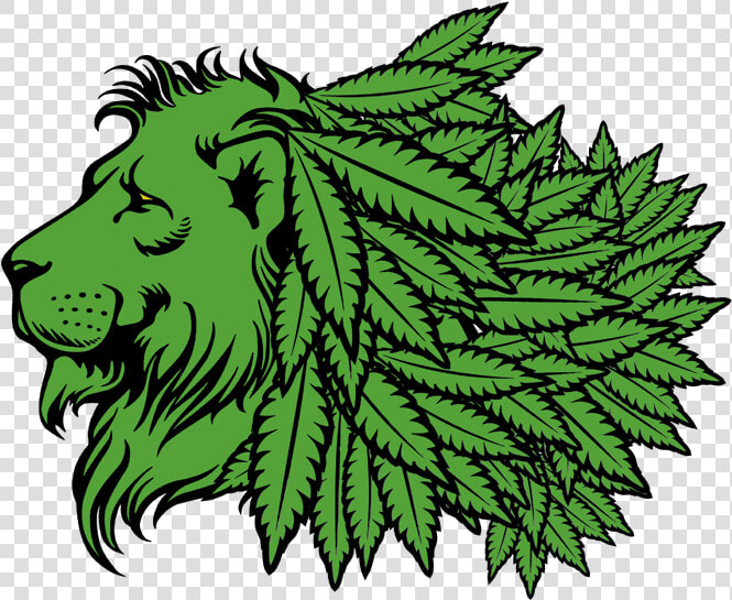 Transparent Lion Head Png   Lion Head Clipart Green  Png DownloadTransparent PNG