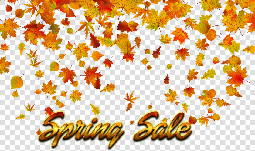 Spring Sale Png Background   Fall Leaves Transparent Background  Png DownloadTransparent PNG