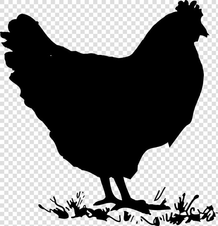Hen  Chicken  Eggs  Juggling  Duckling  Spring   Chicken Black And White Clipart  HD Png DownloadTransparent PNG