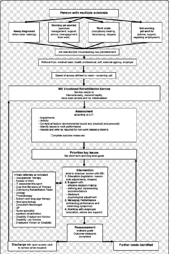 Icf Model Multiple Sclerosis  HD Png DownloadTransparent PNG