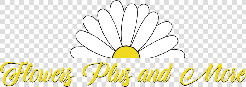 Flowers Plus  amp  More Llc   Chamomile  HD Png DownloadTransparent PNG