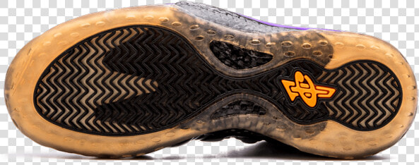 Nike Air Foamposite One Phoenix Suns   Nike  HD Png DownloadTransparent PNG