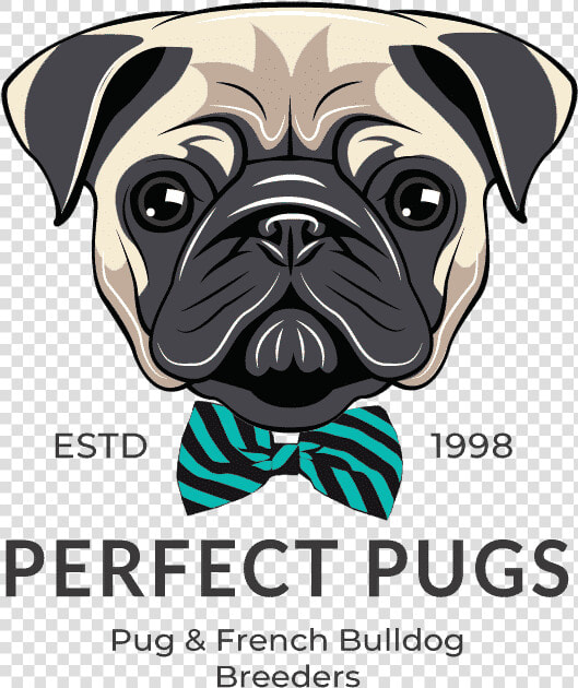 Dog Father Vector   Pug Father  39 s Day Card  HD Png DownloadTransparent PNG