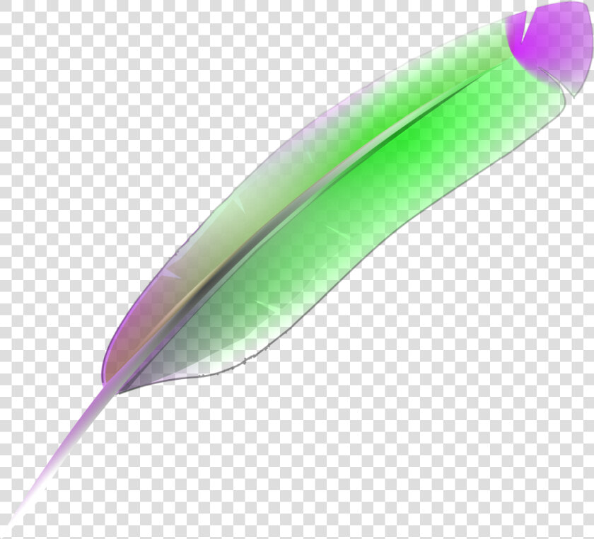 Feather  Bird  Nib  Pen Nib  Ink Pen  Quill  Colorful   Bulu Ayam Png  Transparent PngTransparent PNG