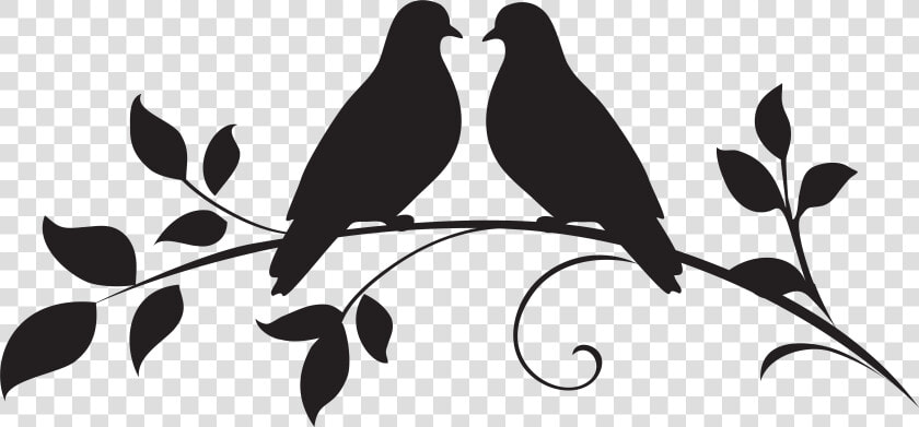 Dove Clipart Silhouette Love Birds Silhouette Png    Love Bird Clipart Black And White  Transparent PngTransparent PNG