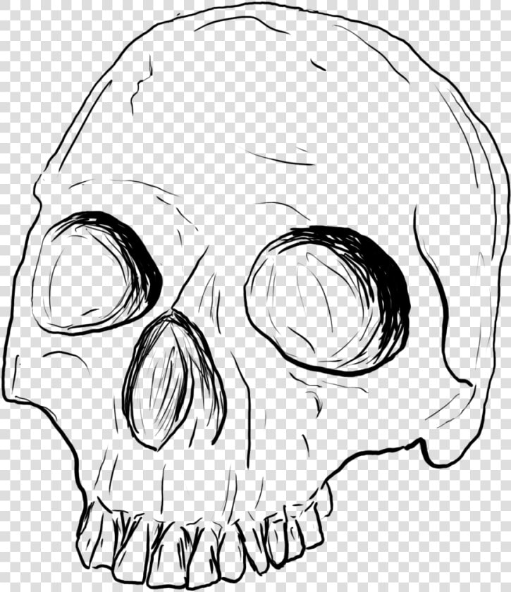 Drawing Medium Skull   Skull Sketch Png  Transparent PngTransparent PNG