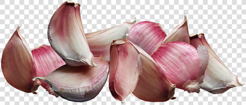 Ajo  Vegetales  Cocinar  La Nutrición  Los Alimentos   Ail Png  Transparent PngTransparent PNG