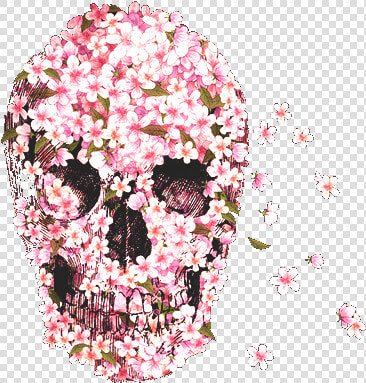 Flowers  Skull  And Pink Image   Skull Pink  HD Png DownloadTransparent PNG