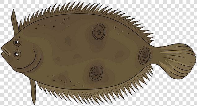 Sole  HD Png DownloadTransparent PNG