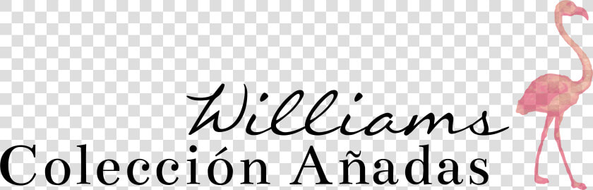 Transparent Confeti Y Serpentinas Sin Fondo Png   Calligraphy  Png DownloadTransparent PNG