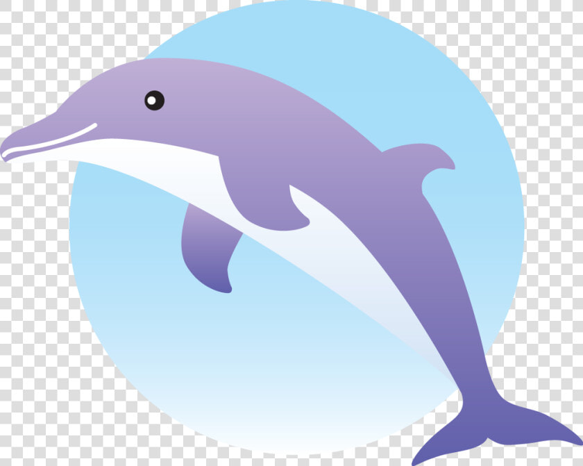 Clipart Dolphin Vector   Common Bottlenose Dolphin  HD Png DownloadTransparent PNG