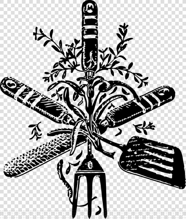 Visual Arts plant flower   Kitchen Utensils Drawing Png  Transparent PngTransparent PNG