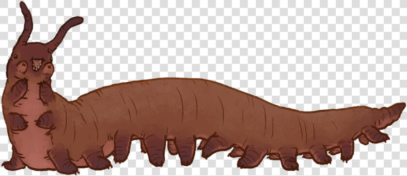 Transparent Worms Giant   Onychophora  HD Png DownloadTransparent PNG