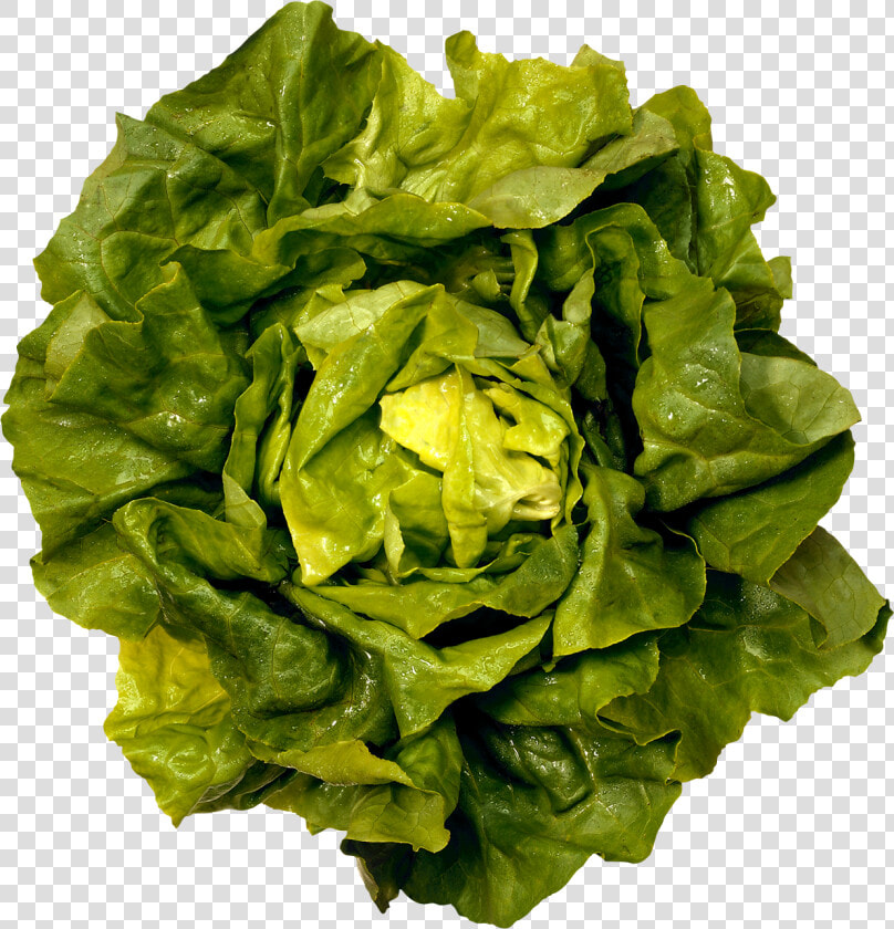 Download For Free Salad Icon   Vitamin Kand Oral Health  HD Png DownloadTransparent PNG