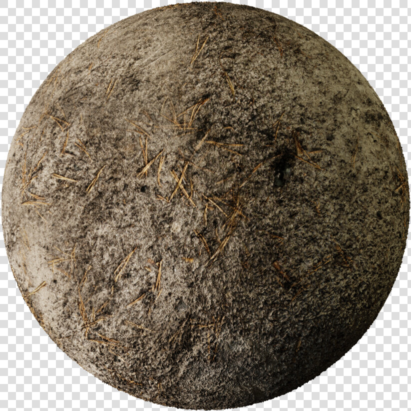 Forrest Png  Transparent PngTransparent PNG