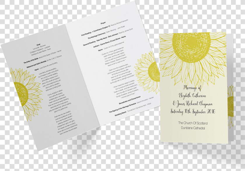 Document  HD Png DownloadTransparent PNG