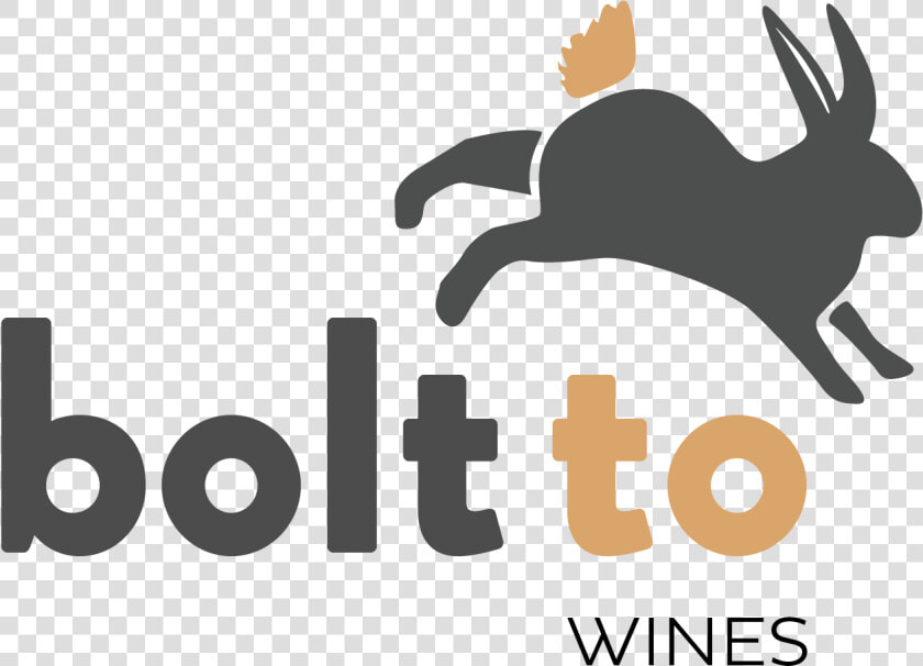 Bolt To   Rabbits And Hares  HD Png DownloadTransparent PNG