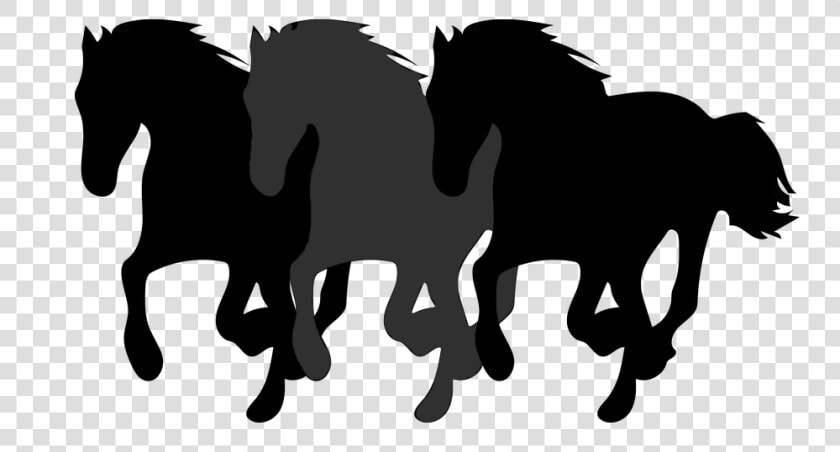 Transparent Running Horse Silhouette Png   Silhouette Horse Head Outline  Png DownloadTransparent PNG