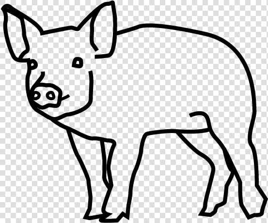 Domestic Pig  HD Png DownloadTransparent PNG