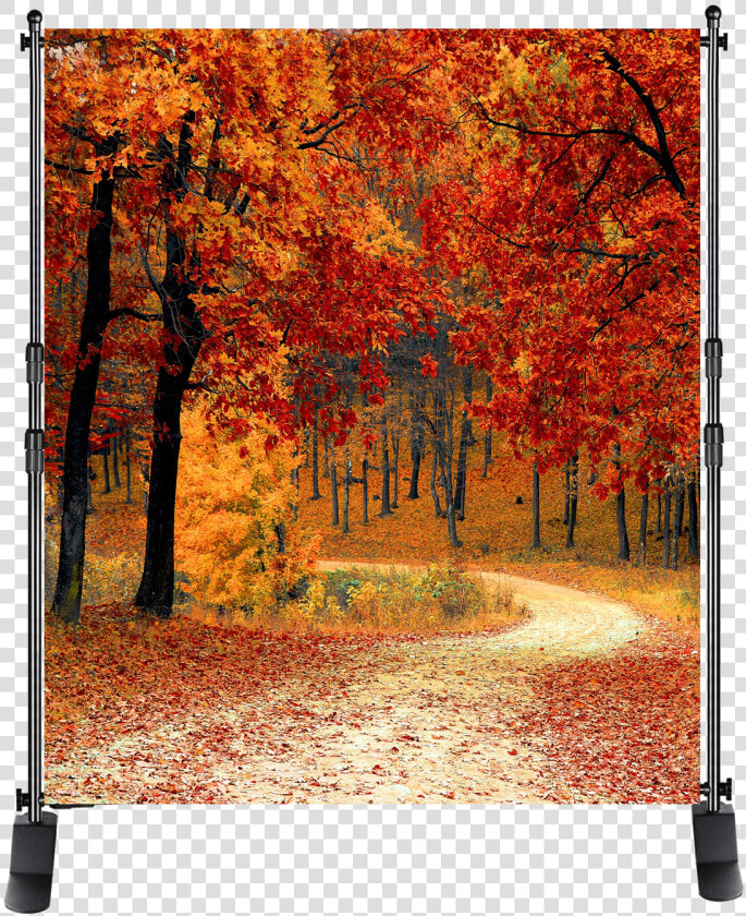 Photo Backgrounds From  100   Heart Lake Brampton Fall  HD Png DownloadTransparent PNG