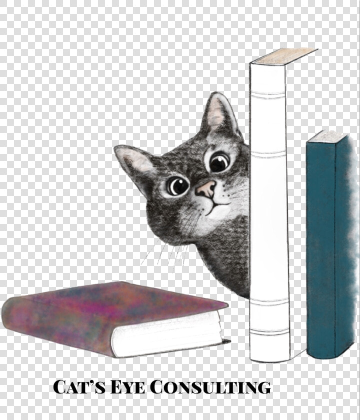 Domestic Short haired Cat  HD Png DownloadTransparent PNG