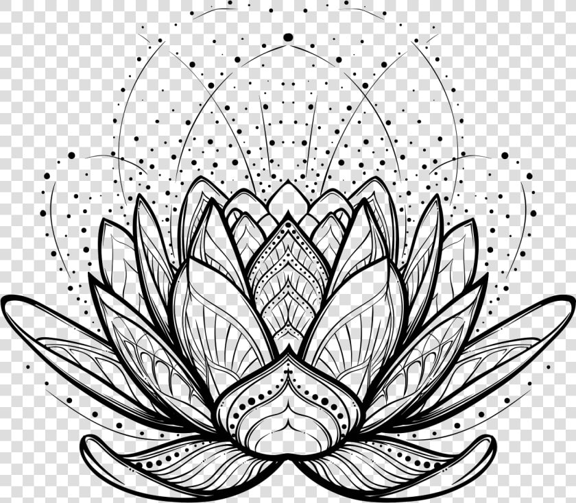 Illustration Vector Design Graphics Drawing Stock Clipart   Lotus Flower Line Drawing  HD Png DownloadTransparent PNG