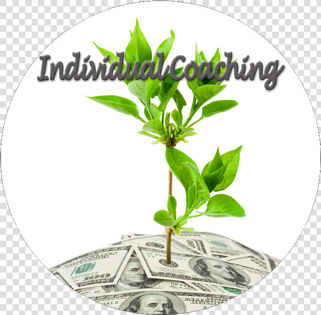 Green Revolution Is The Best Solution To Arrest Pollution  HD Png DownloadTransparent PNG