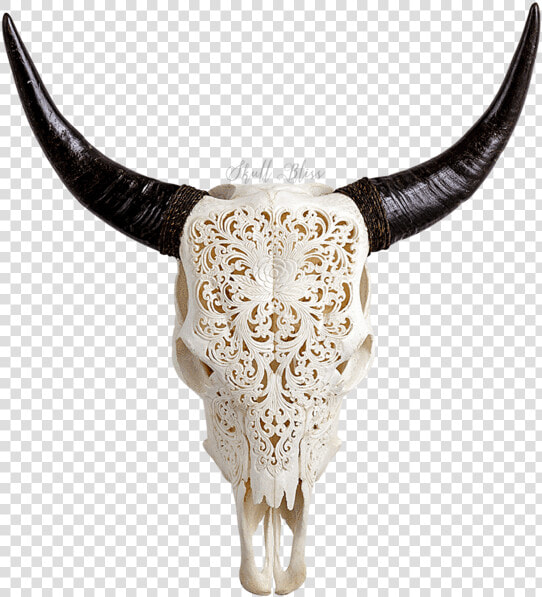 Skull Variant Skull Only   Skull Bliss  HD Png DownloadTransparent PNG