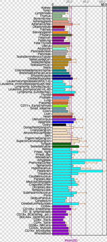 Fam188a Tissue Expression   Colorfulness  HD Png DownloadTransparent PNG