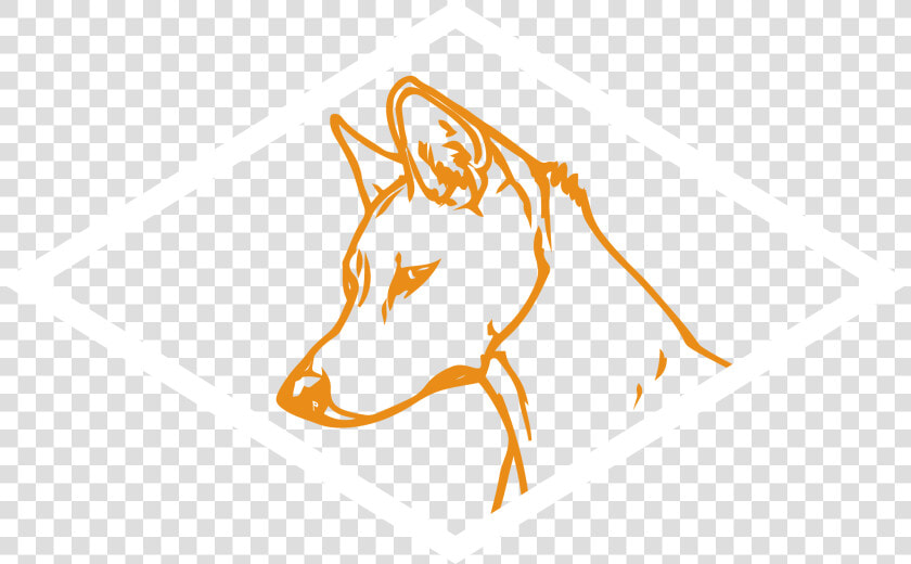 Dingo Distribution   Graphic Design  HD Png DownloadTransparent PNG