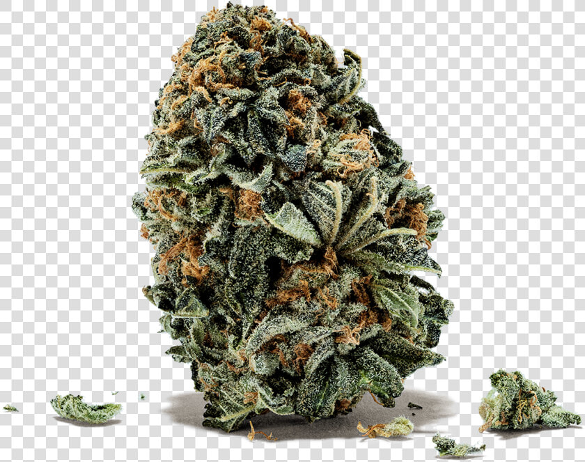 Spliff Png  Transparent PngTransparent PNG