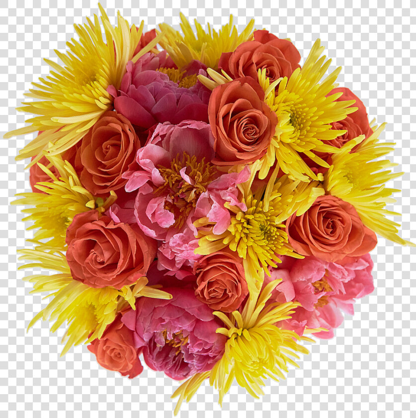 Floribunda  HD Png DownloadTransparent PNG