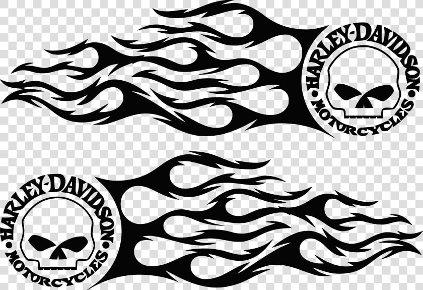 Harley davidson Motorcycle Decal Car Logo   Harley Davidson Logo Skull  HD Png DownloadTransparent PNG