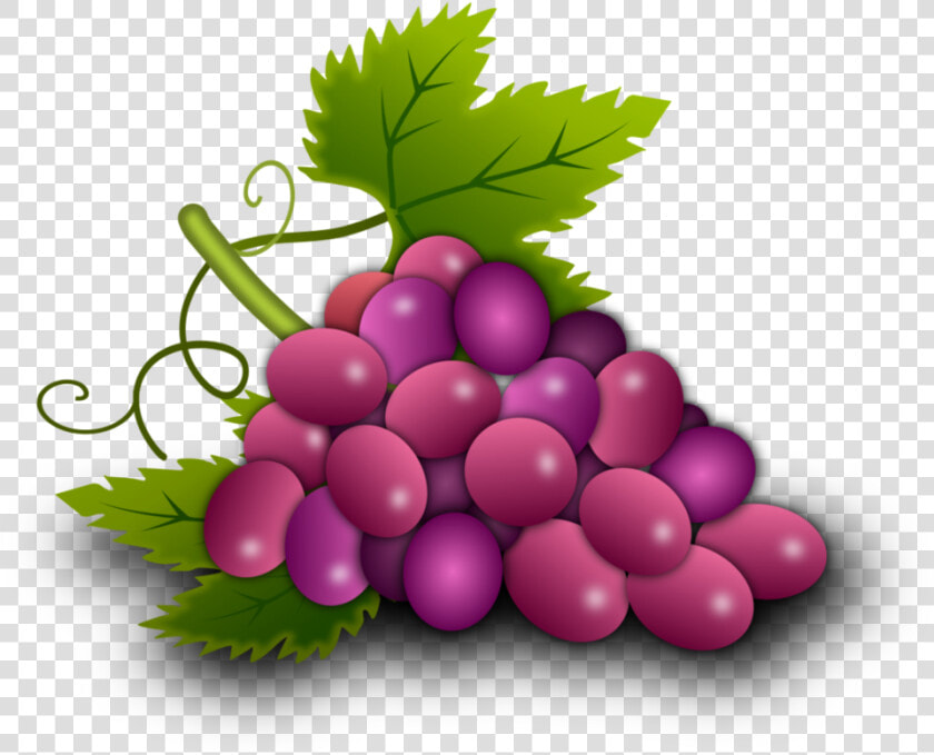 Transparent Uvas Png   Uvas Para Primera Comunion  Png DownloadTransparent PNG