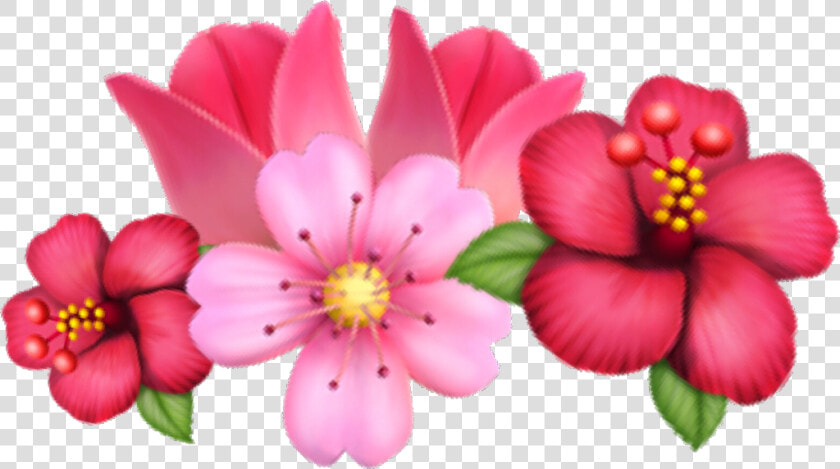 Transparent Cherry Blossom Emoji Png   Rose Android Flower Emoji  Png DownloadTransparent PNG
