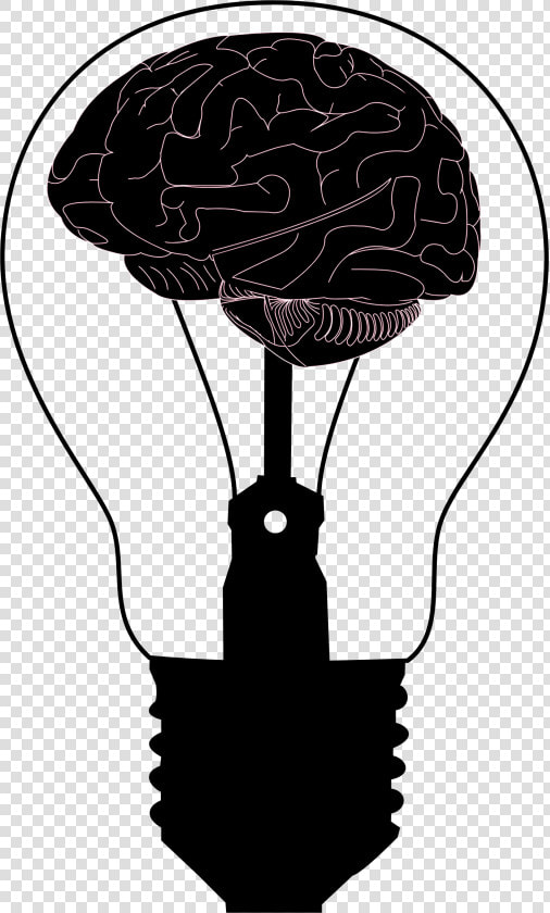 Psychology Brain Png  Transparent PngTransparent PNG