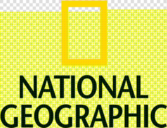 National Geographic Logo Transparent Background  HD Png DownloadTransparent PNG