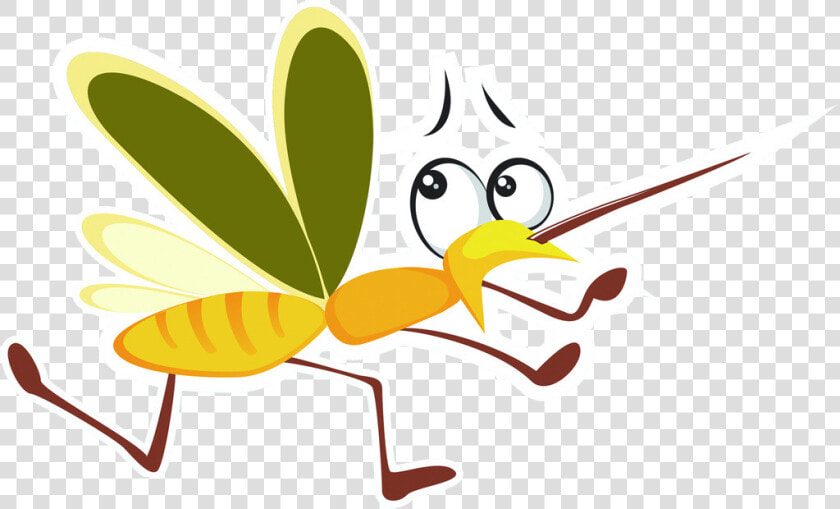 Bloodsucking Mosquitoes Cartoon   Mosquito Cartoon Transparent Background  HD Png DownloadTransparent PNG
