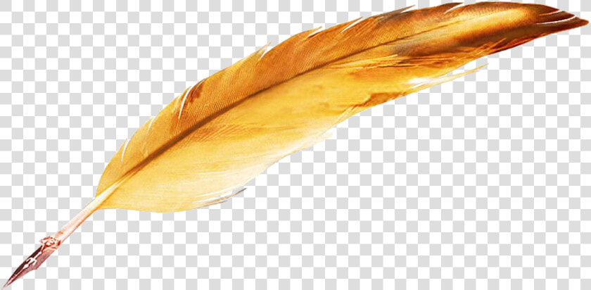 Quill   Quill Feather Pen Png  Transparent PngTransparent PNG