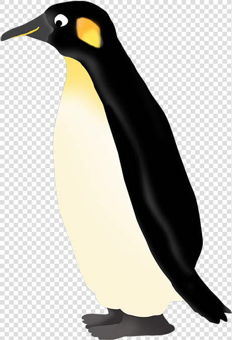 Transparent Emperor Png   King Penguin  Png DownloadTransparent PNG