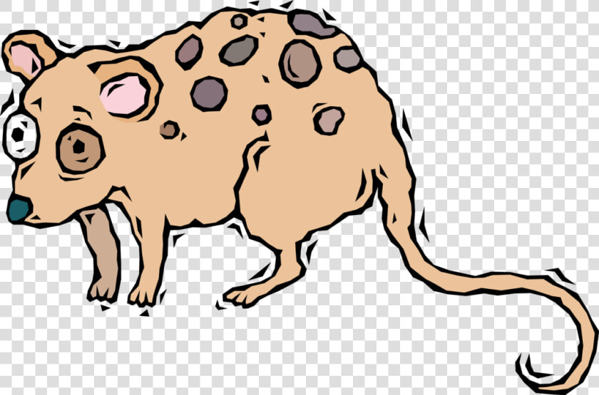 Vector Illustration Of Starry eyed Opossum  HD Png DownloadTransparent PNG